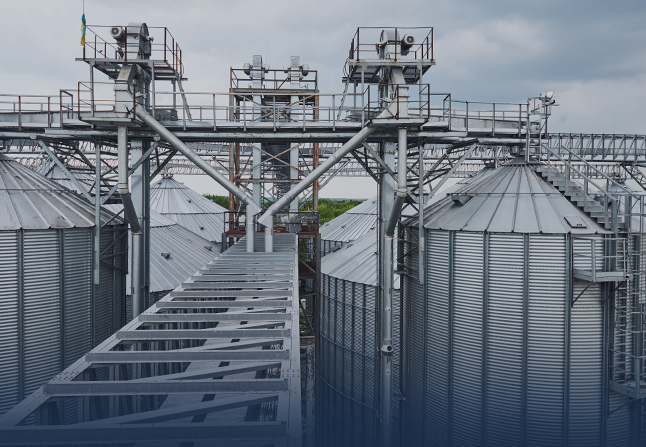 Agriculture & Agribusiness